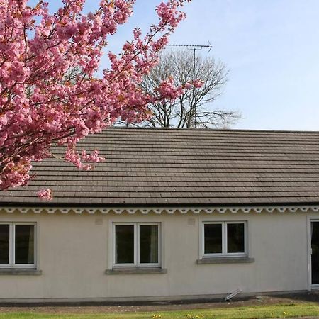 Sunny Bungalow Courtown Zewnętrze zdjęcie