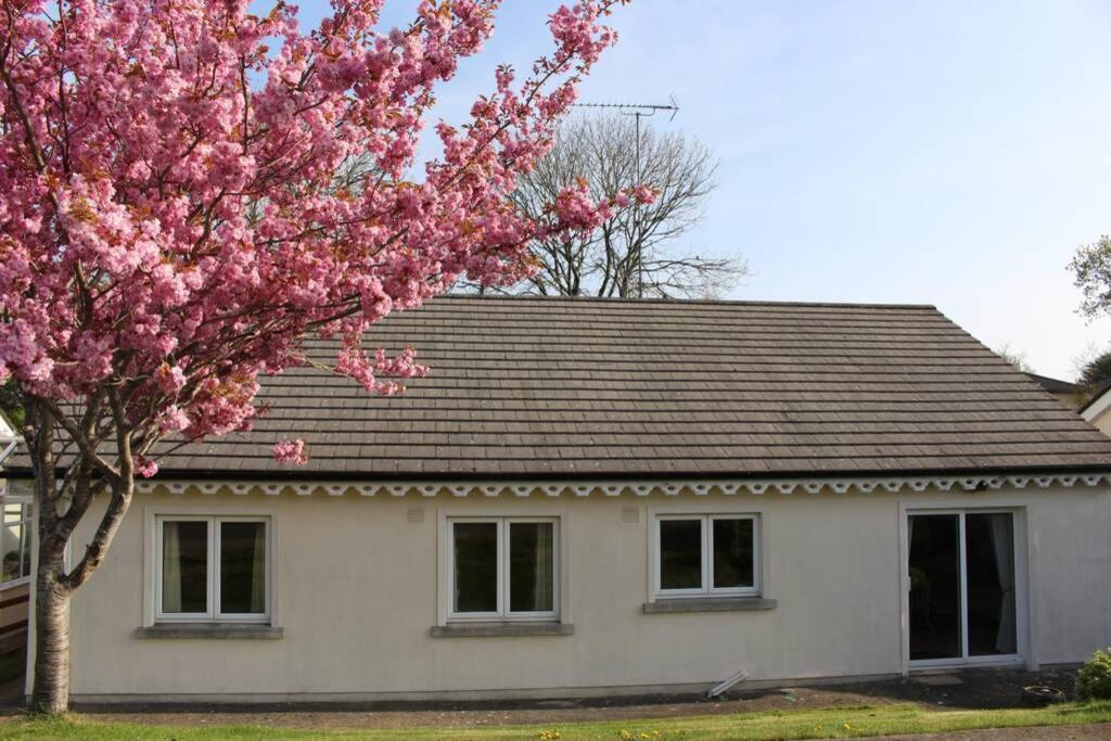 Sunny Bungalow Courtown Zewnętrze zdjęcie