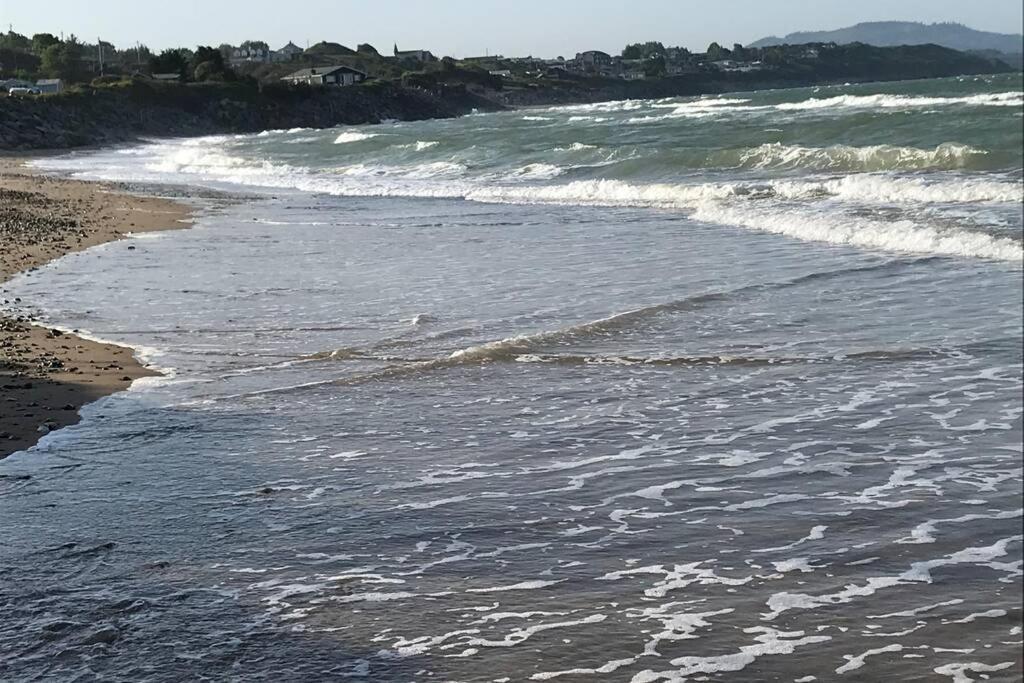 Sunny Bungalow Courtown Zewnętrze zdjęcie