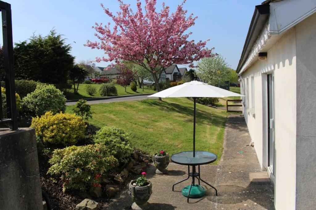 Sunny Bungalow Courtown Zewnętrze zdjęcie